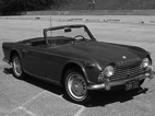 TR4A